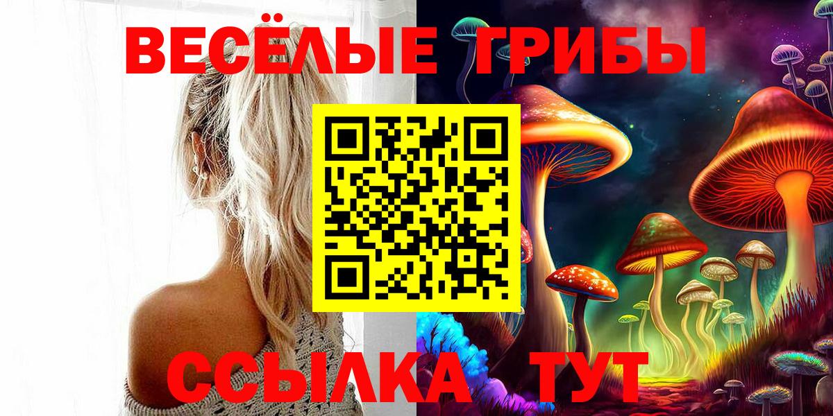 Галлюциногенные грибы ЛСД  что такое   Вход с VPN  Ишимбай  Псилоцибиновые грибы GOLDEN TEACHER 