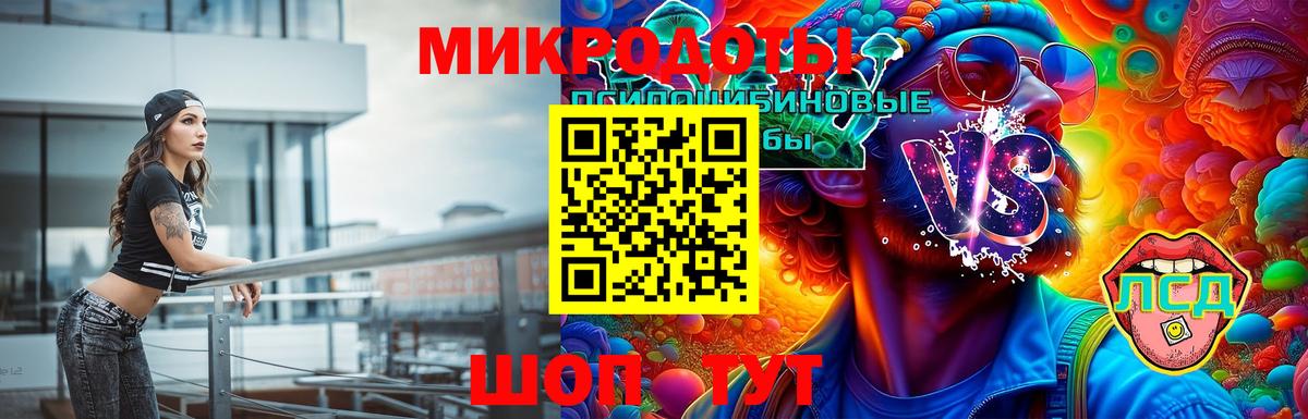 Псилоцибиновые грибы Psilocybe Ишимбай